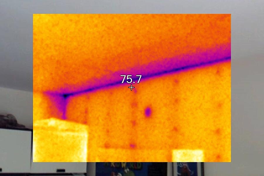 Benefits of Thermal Imaging as Part of Property Surveys