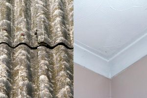 Asbestos in Older Irish Properties